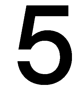 Number 5 Icon